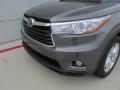 2016 Highlander Limited Platinum #10