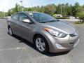 2013 Elantra GLS #10