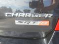2010 Charger SRT8 #15