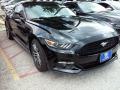 2016 Mustang EcoBoost Coupe #1