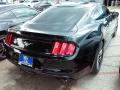2016 Mustang EcoBoost Coupe #14