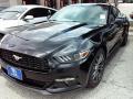 2016 Mustang EcoBoost Coupe #18