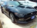 2016 Mustang GT Premium Coupe #13