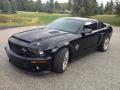  2008 Ford Mustang Black #1
