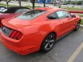 2015 Mustang V6 Coupe #6 2015 Mustang V6 Coupe #6