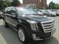 2016 Escalade ESV Platinum 4WD #3 2016 Escalade ESV Platinum 4WD #3