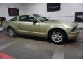 2006 Mustang V6 Premium Coupe #6