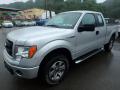 Front 3/4 View of 2014 Ford F150 STX SuperCab 4x4 #6