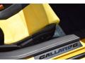 2013 Gallardo LP 550-2 Spyder #43