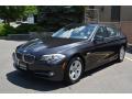 2013 5 Series 528i xDrive Sedan #6