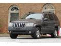 2004 Grand Cherokee Laredo 4x4 #17 2004 Grand Cherokee Laredo 4x4 #17