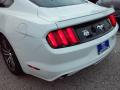 2016 Mustang EcoBoost Coupe #14