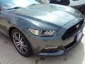 2016 Mustang EcoBoost Coupe #3 2016 Mustang EcoBoost Coupe #3