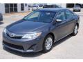 2013 Camry LE #1