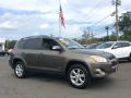 2010 RAV4 Limited 4WD #3