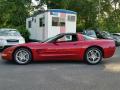 2004 Corvette Coupe #8