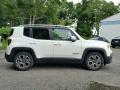 2015 Renegade Limited #4