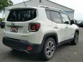 2015 Renegade Limited #5