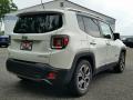 2015 Renegade Limited #6