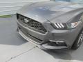 2017 Mustang Ecoboost Coupe #10