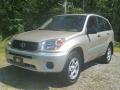 2004 RAV4  #1