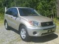 2004 RAV4  #8