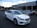 2016 Sonata SE #1