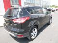 2013 Escape Titanium 2.0L EcoBoost 4WD #8