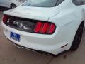 2017 Mustang GT Premium Coupe #11