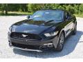 2017 Mustang Ecoboost Coupe #7
