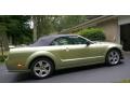2006 Mustang GT Premium Convertible #9