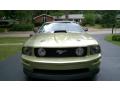 2006 Mustang GT Premium Convertible #10