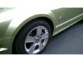 2006 Mustang GT Premium Convertible #30