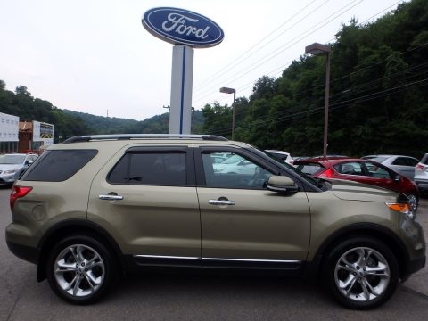 Ginger Ale Metallic Ford Explorer Limited 4WD.  Click to enlarge.
