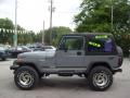 1991 Wrangler 4x4 #6