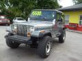 1991 Wrangler 4x4 #7