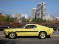 1970 Ford Mustang Sidewinder