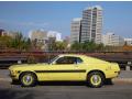 1970 Mustang Sidewinder #1