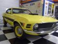 1970 Mustang Sidewinder #8
