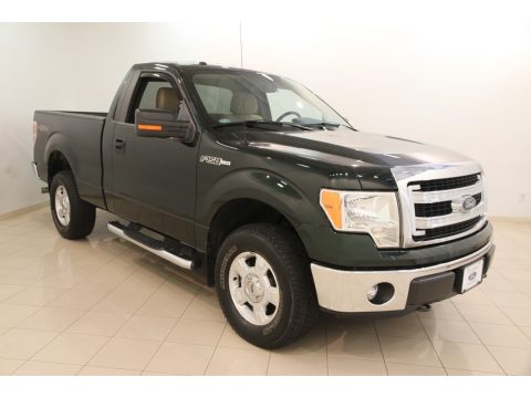Green Gem Metallic Ford F150 XLT Regular Cab 4x4.  Click to enlarge.