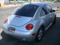 2002 New Beetle GLS TDI Coupe #6