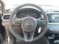  2017 Kia Sorento LX Steering Wheel #17