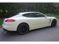 2014 Panamera 4 #8