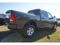 2017 1500 Express Crew Cab #3