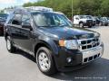 2011 Escape Limited V6 #7 2011 Escape Limited V6 #7