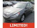 2011 Sonata Limited #1