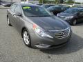 2011 Sonata Limited #10