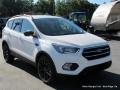 2017 Escape SE #7 2017 Escape SE #7
