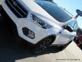 2017 Escape SE #29 2017 Escape SE #29