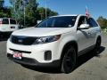 2014 Sorento LX #3